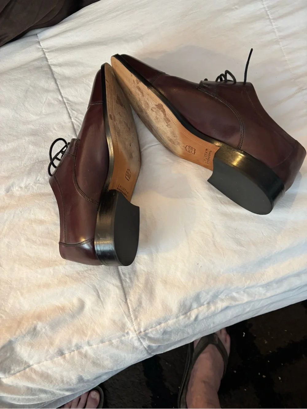 J. Murphy Men's Cap-Toe Dress Oxfords in Burgundy